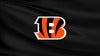 Cincinnati Bengals Friday Night Stadium Practice