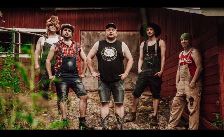 Steve 'n' Seagulls