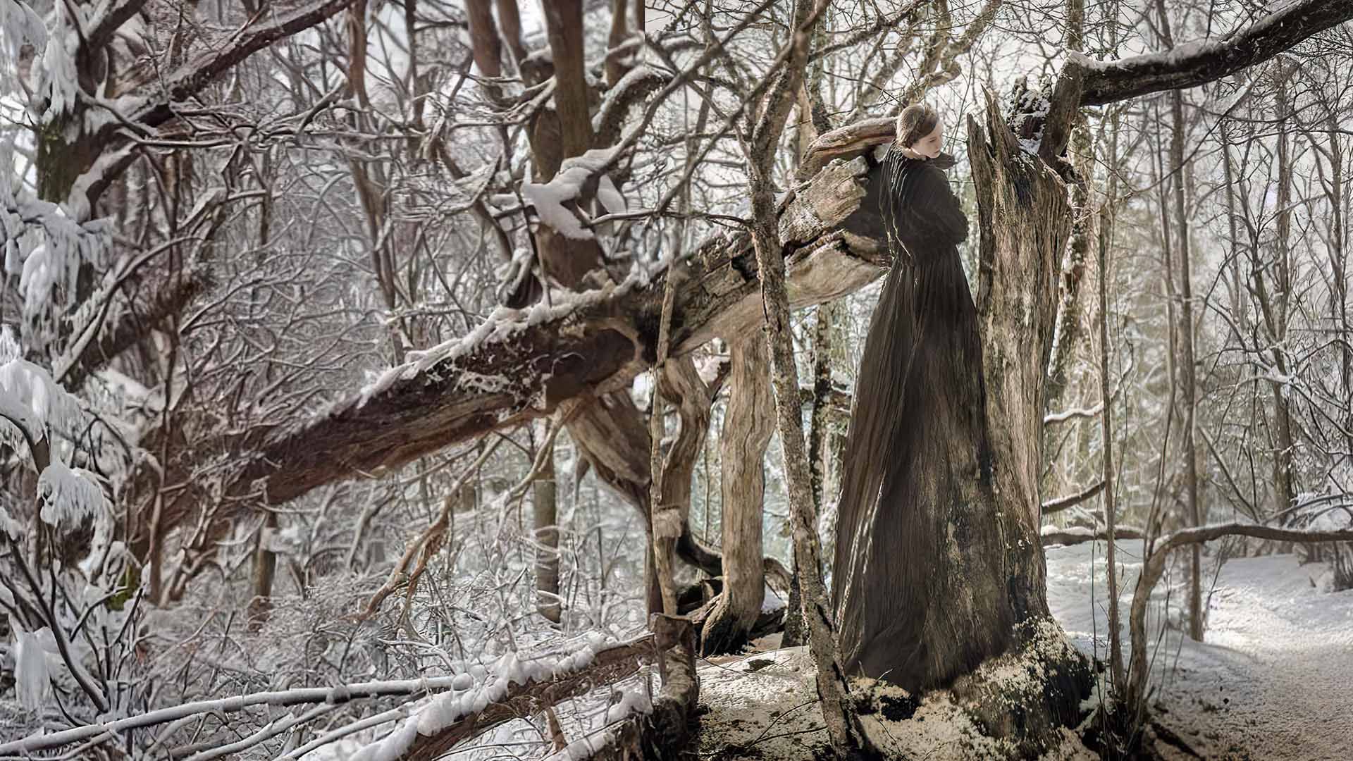 Entanglement: I am a tree, I am a mouth