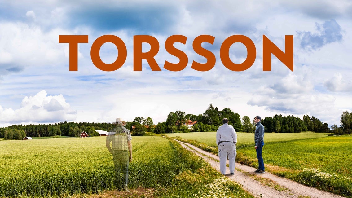 TORSSON - Att vilja men inte kunna