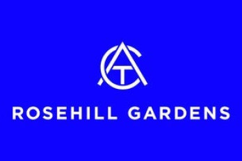 Hill Stakes Day