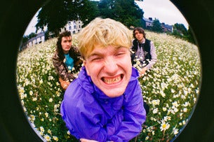 The Love Buzz
