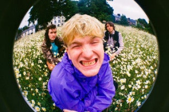 The Love Buzz