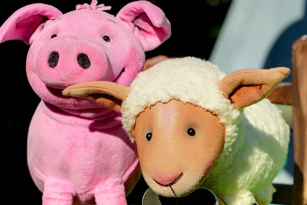 Das Schaf Charlotte und seine Freunde