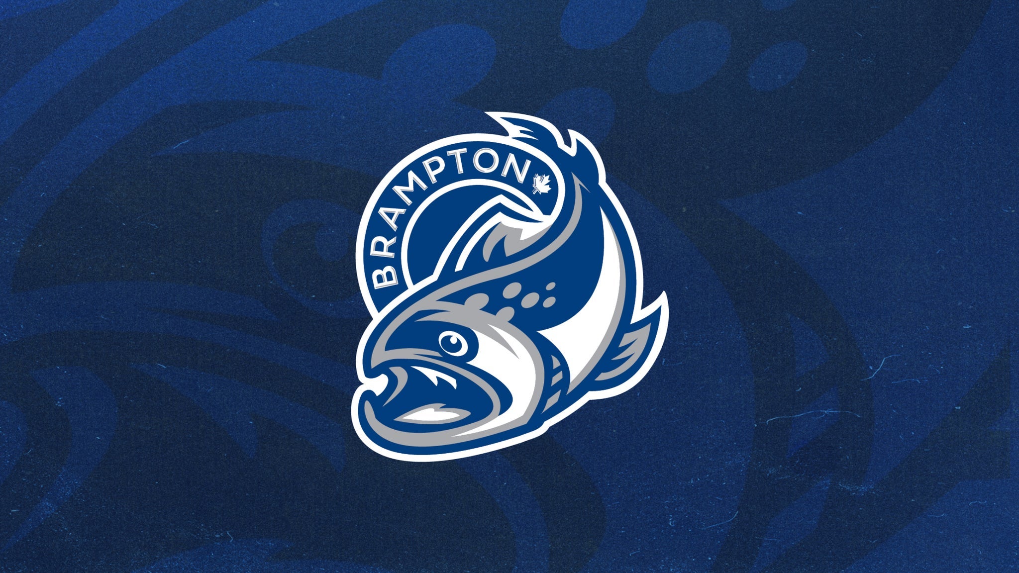 Brampton Steelheads vs. Saginaw Spirit