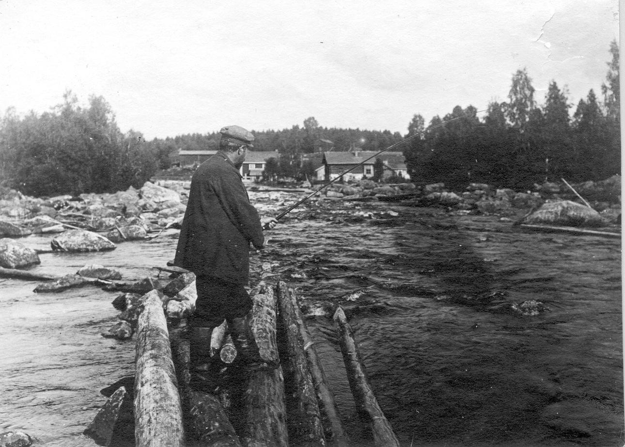 Juhani Ahon syntymÃ¤pÃ¤ivÃ¤t Aholassa
