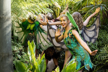 Tinkerbell and the Dream Fairies Sydney