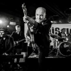 Klubi-ilta: Whistle Bait - Plays 60s Elvis Presley!