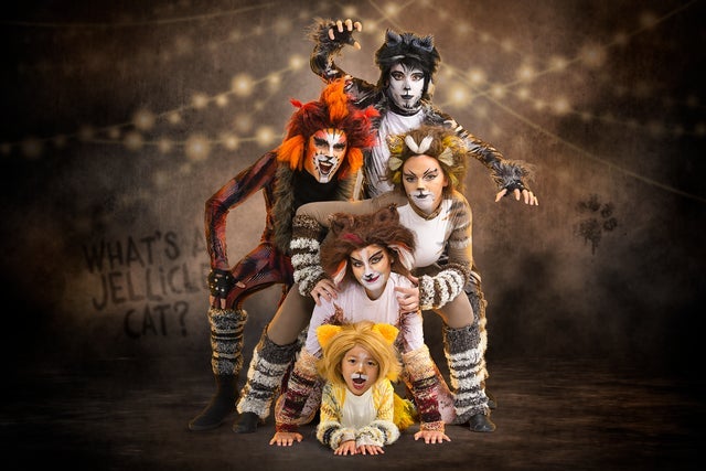 CATS - Young Actors Edition (NZSL & Audio Performance)