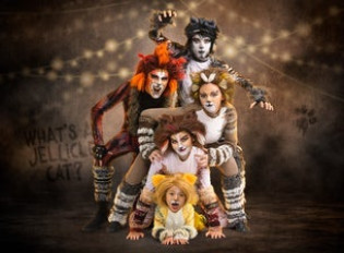 Cats - Young Actors Edition