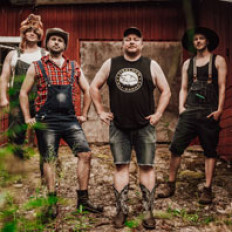 Steve 'n' Seagulls
