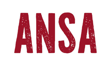 Ansa