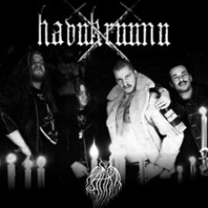 Havukruunu + Paara K-18