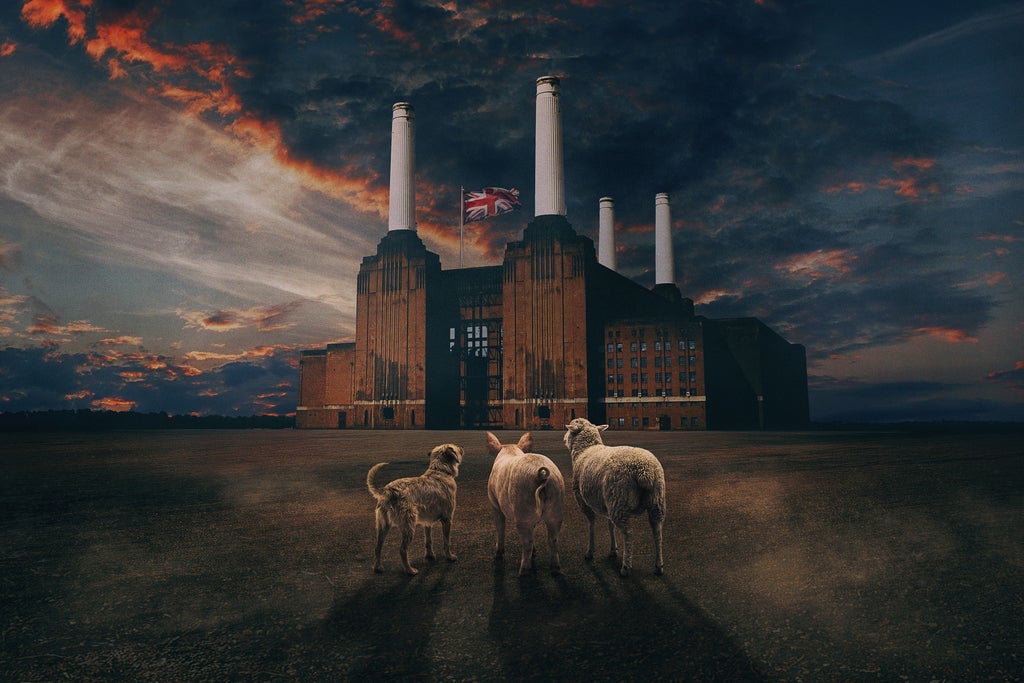 Brit Floyd - Animals 50