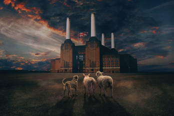 Brit Floyd - Animals 50