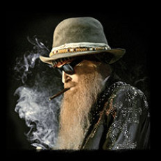 BILLY GIBBONS & THE BFGS image