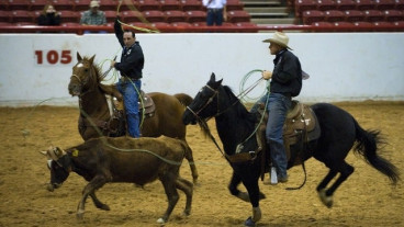 Rodeo 4 Life image
