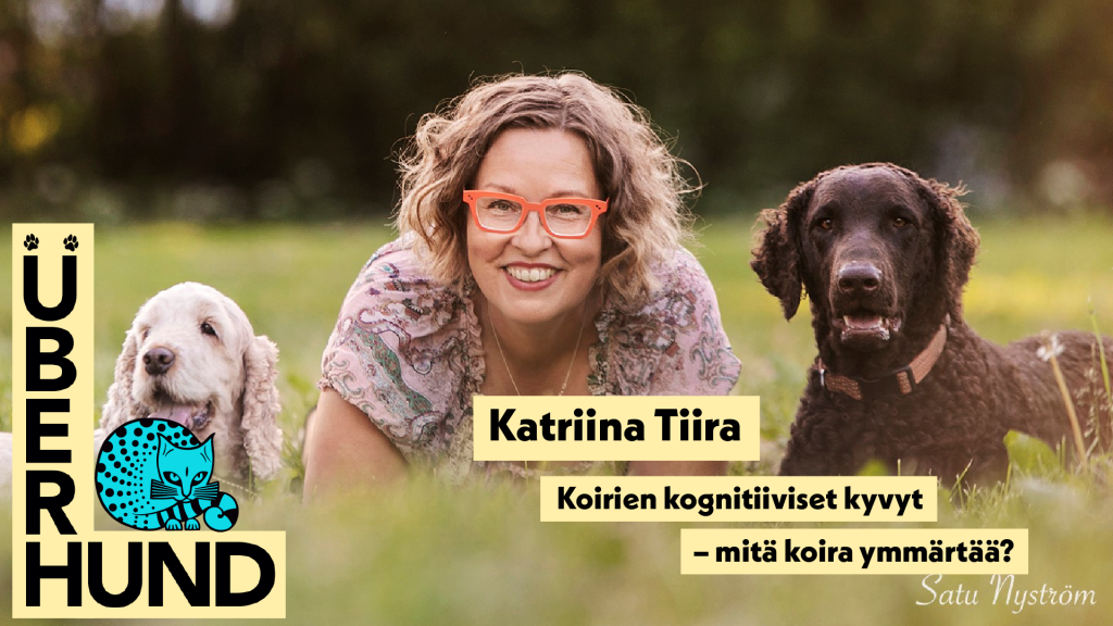 Juha ValkeapÃ¤Ã¤: Ollaan elÃ¤imiksi!