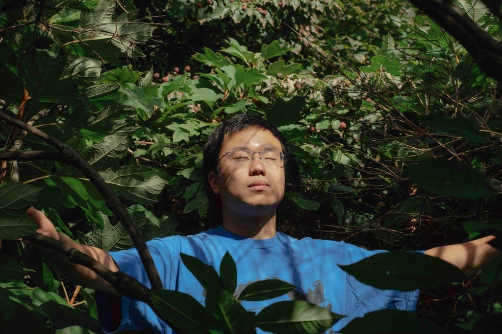 Aaron Chen - Funny Garden