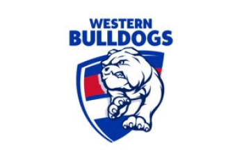 Western Bulldogs v St Kilda - AFL & Centre Wing Members image